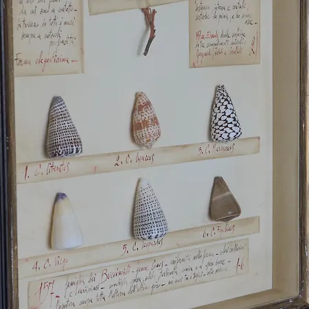 Ducale Szálloda 4*